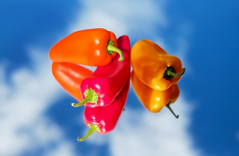 Paprika